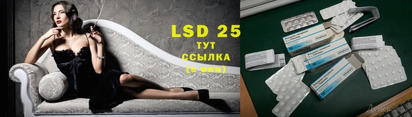 ПСИЛОЦИБИНОВЫЕ ГРИБЫ Алексеевка