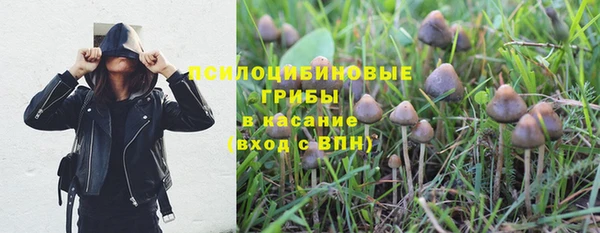 индика Алзамай