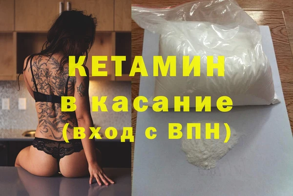индика Алзамай
