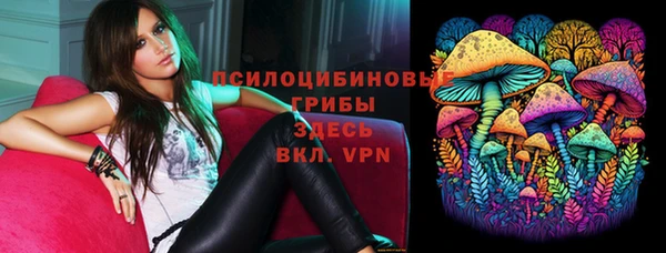 индика Алзамай