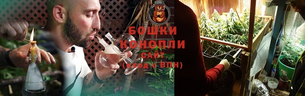 ПСИЛОЦИБИНОВЫЕ ГРИБЫ Алексеевка