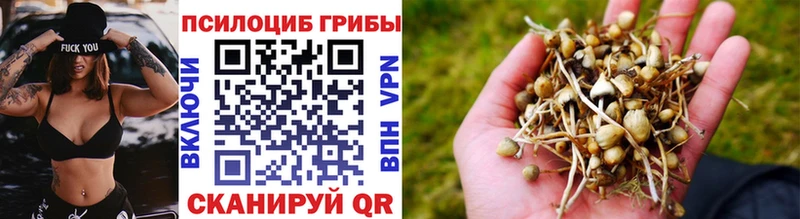 Псилоцибиновые грибы Magic Shrooms  купить наркотики сайты  Губкин 