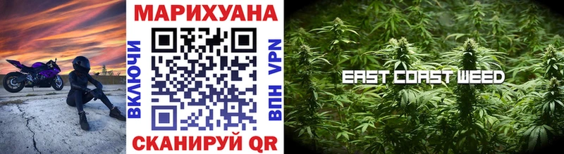 купить  сайты  Губкин  Конопля SATIVA & INDICA 